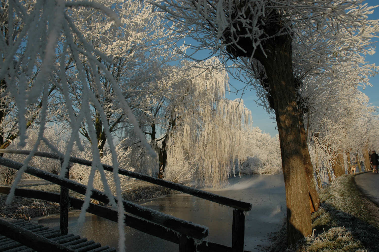 Winter in Vlist; klik op de foto voor meer mooie plaatjes.